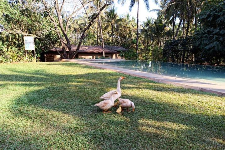 The Orchard Resort Belgaum Exterior foto
