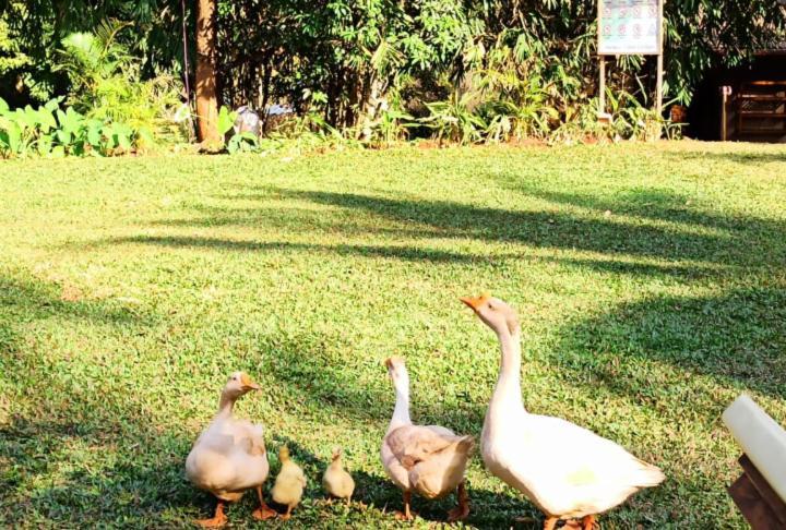 The Orchard Resort Belgaum Exterior foto